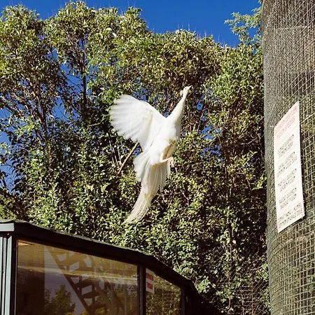 Polonezkoey Country Club & In The Wildlife Park! Üdülőközpont 3*