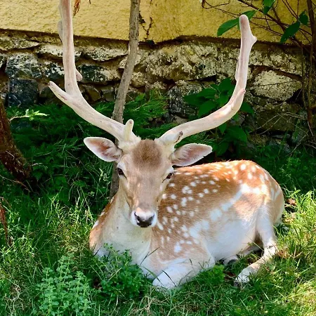 אתר נופש Polonezkoey Country Club & In The Wildlife Park!