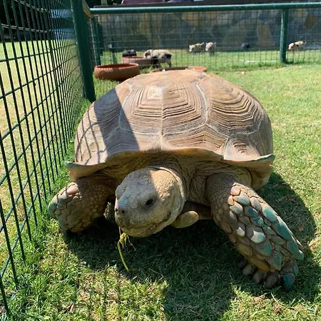 Θέρετρο Polonezkoey Country Club & In The Wildlife Park! Κωνσταντινούπολη