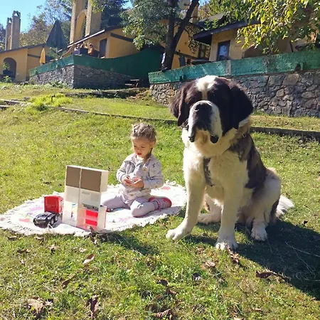 Polonezkoey Country Club & In The Wildlife Park! Üdülőközpont 3*
