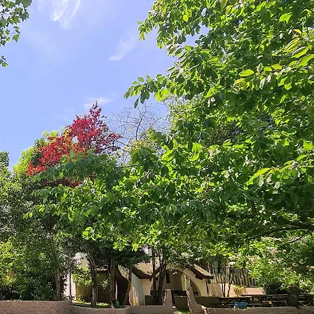 Polonezkoey Country Club & In The Wildlife Park! اسطنبول
