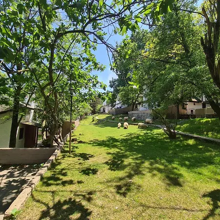 Polonezkoey Country Club & In The Wildlife Park! Κωνσταντινούπολη