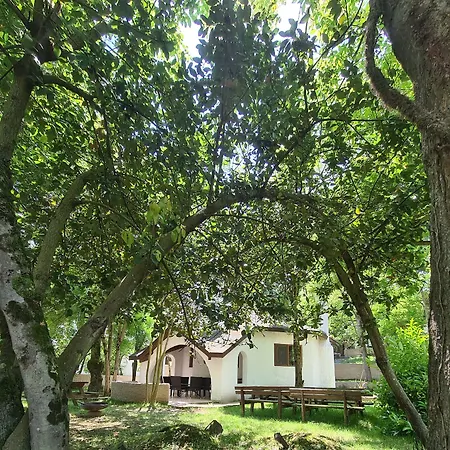 Polonezkoey Country Club & In The Wildlife Park! 3* اسطنبول
